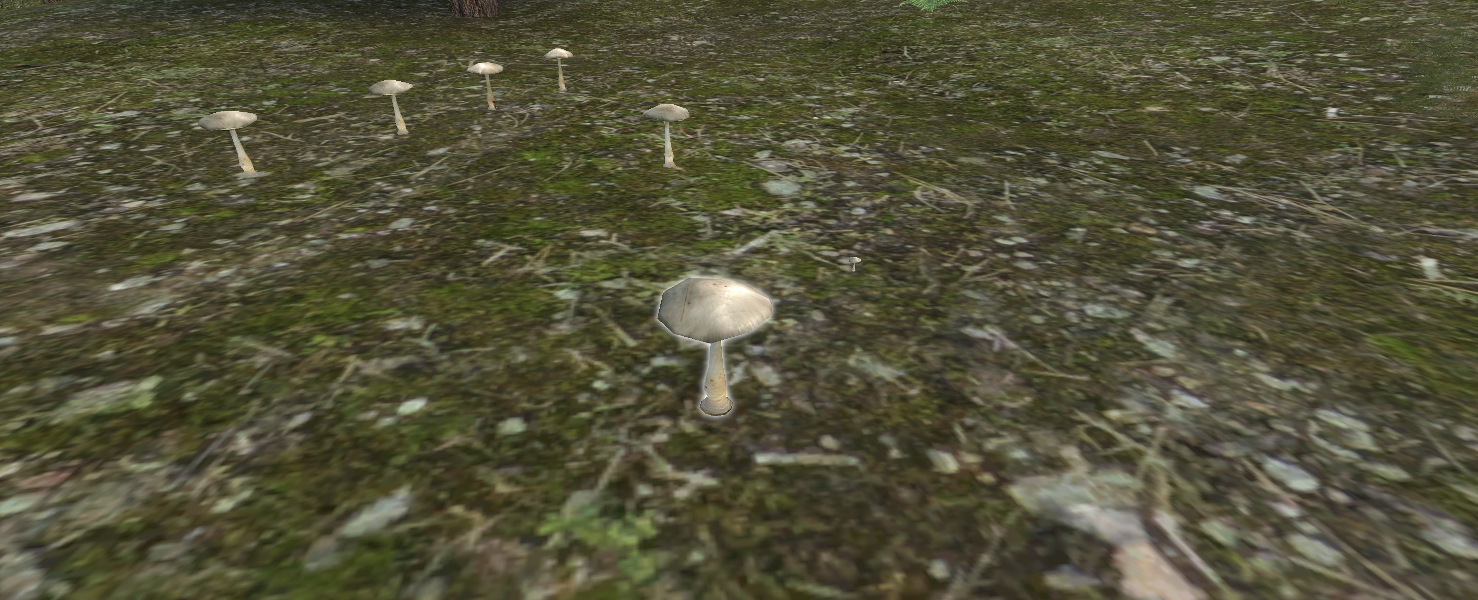 Grown Mushroom