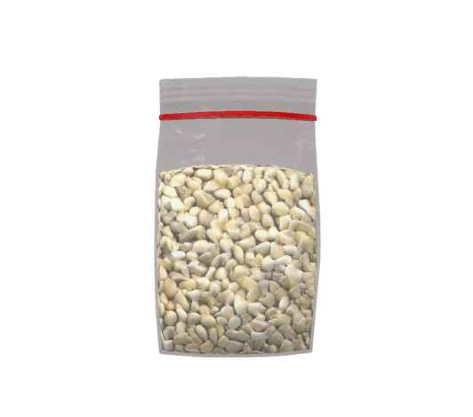 Seeds