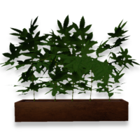 Planter