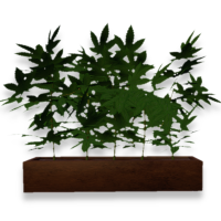Basic Planter