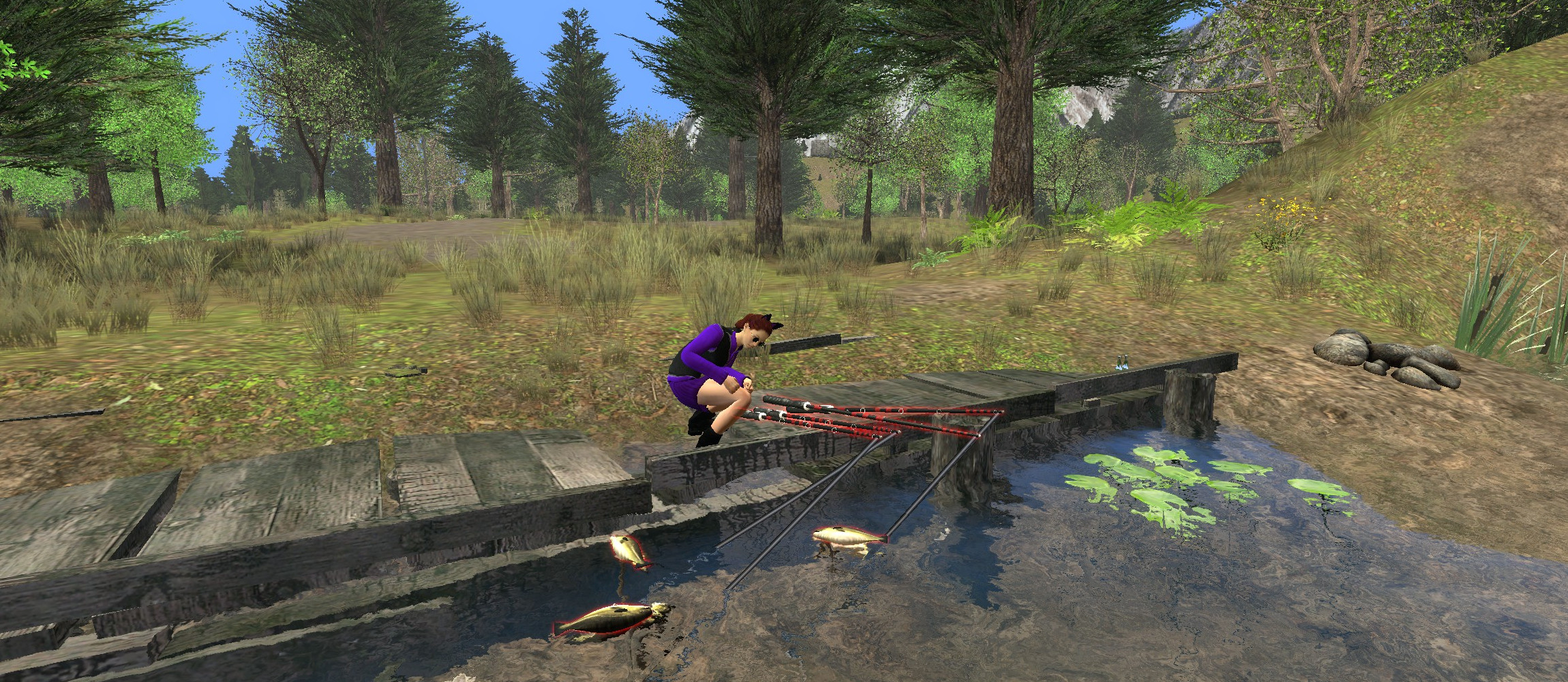 Fishing - Pond
